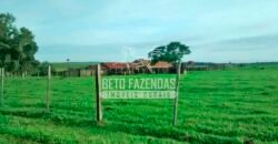 Fazenda à Venda Produtiva de 750 Alqueires à Beira do Rio | Presidente Prudente/SP