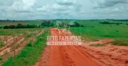 Fazenda à Venda Produtiva de 750 Alqueires à Beira do Rio | Presidente Prudente/SP