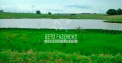 Fazenda à Venda Produtiva de 750 Alqueires à Beira do Rio | Presidente Prudente/SP