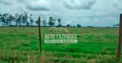 Fazenda à Venda Produtiva de 750 Alqueires à Beira do Rio | Presidente Prudente/SP