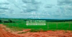 Fazenda à Venda Produtiva de 750 Alqueires à Beira do Rio | Presidente Prudente/SP