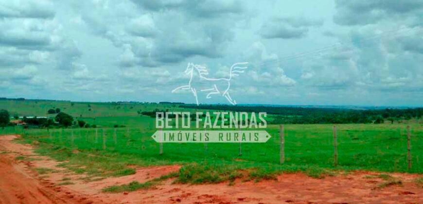 Fazenda à Venda Produtiva de 750 Alqueires à Beira do Rio | Presidente Prudente/SP