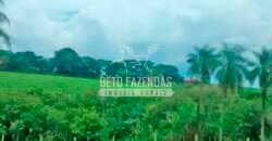 Fazenda à Venda Produtiva de 750 Alqueires à Beira do Rio | Presidente Prudente/SP