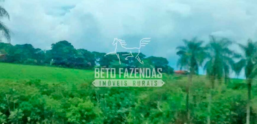 Fazenda à Venda Produtiva de 750 Alqueires à Beira do Rio | Presidente Prudente/SP