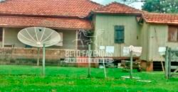 Fazenda à Venda Produtiva de 750 Alqueires à Beira do Rio | Presidente Prudente/SP