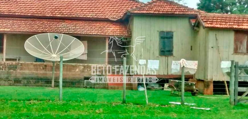 Fazenda à Venda Produtiva de 750 Alqueires à Beira do Rio | Presidente Prudente/SP