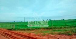 Fazenda à Venda Produtiva de 750 Alqueires à Beira do Rio | Presidente Prudente/SP