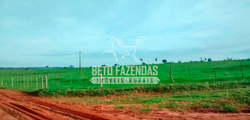 Fazenda à Venda Produtiva de 750 Alqueires à Beira do Rio | Presidente Prudente/SP