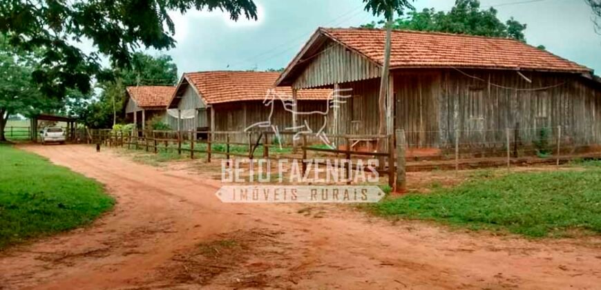 Fazenda à Venda Produtiva de 750 Alqueires à Beira do Rio | Presidente Prudente/SP