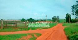 Fazenda à Venda Produtiva de 750 Alqueires à Beira do Rio | Presidente Prudente/SP