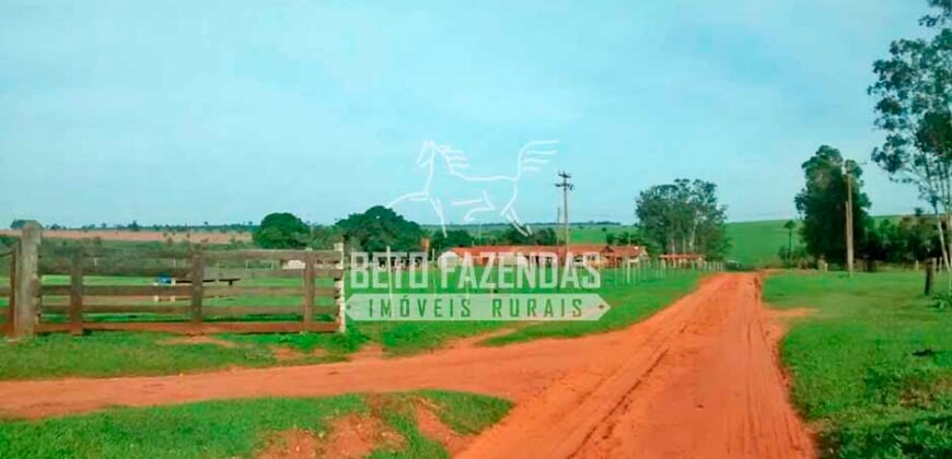 Fazenda à Venda Produtiva de 750 Alqueires à Beira do Rio | Presidente Prudente/SP