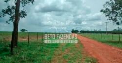 Fazenda à Venda Produtiva de 750 Alqueires à Beira do Rio | Presidente Prudente/SP