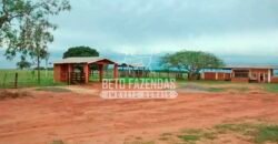 Fazenda à Venda Produtiva de 750 Alqueires à Beira do Rio | Presidente Prudente/SP