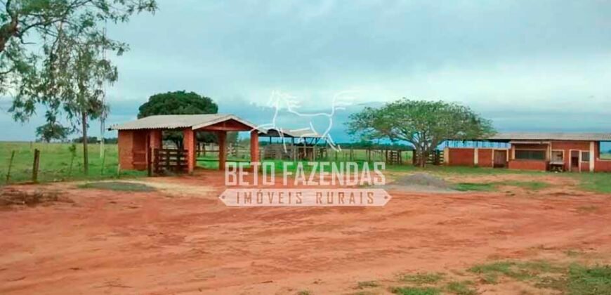 Fazenda à Venda Produtiva de 750 Alqueires à Beira do Rio | Presidente Prudente/SP