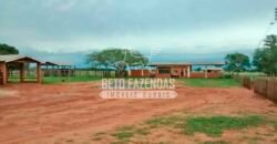 Fazenda à Venda Produtiva de 750 Alqueires à Beira do Rio | Presidente Prudente/SP