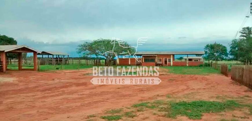 Fazenda à Venda Produtiva de 750 Alqueires à Beira do Rio | Presidente Prudente/SP