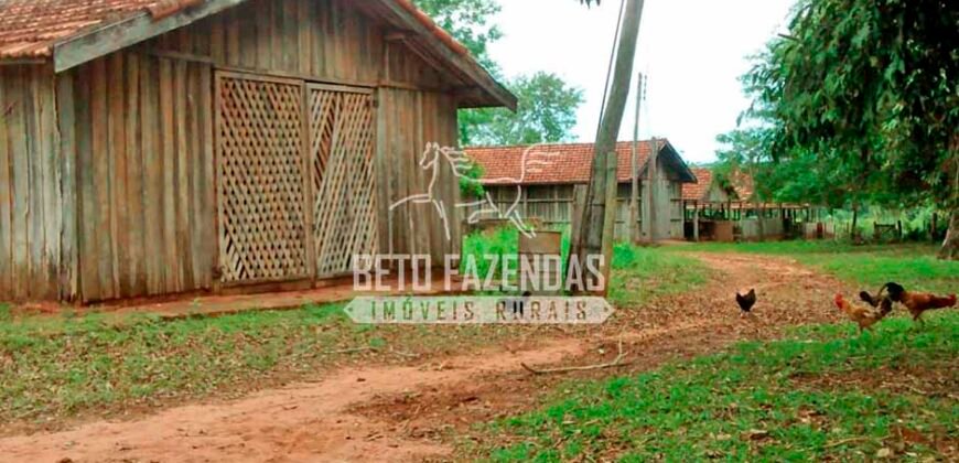 Fazenda à Venda Produtiva de 750 Alqueires à Beira do Rio | Presidente Prudente/SP