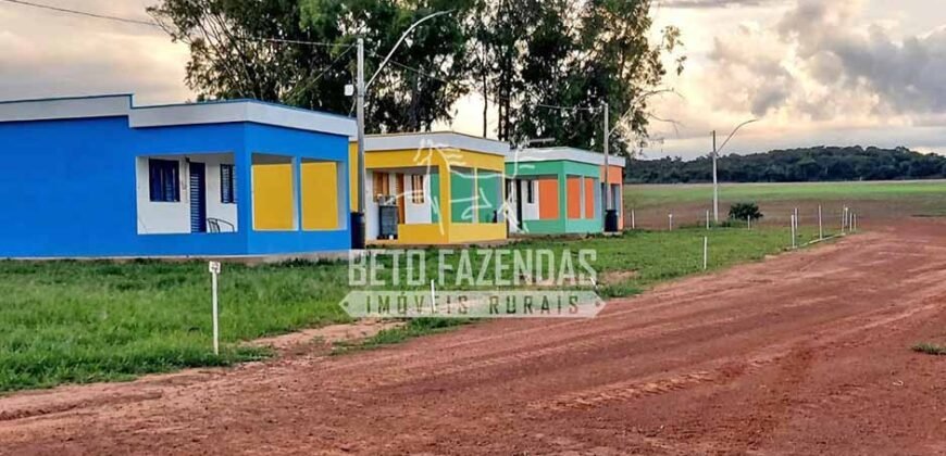 Fazenda à Venda 1.664,65 has Agrícola Extensa | Montes Claros de Goiás/GO Fazenda à Venda 1.664,65 has Agrícola Extensa | Montes Claros de Goiás/GO