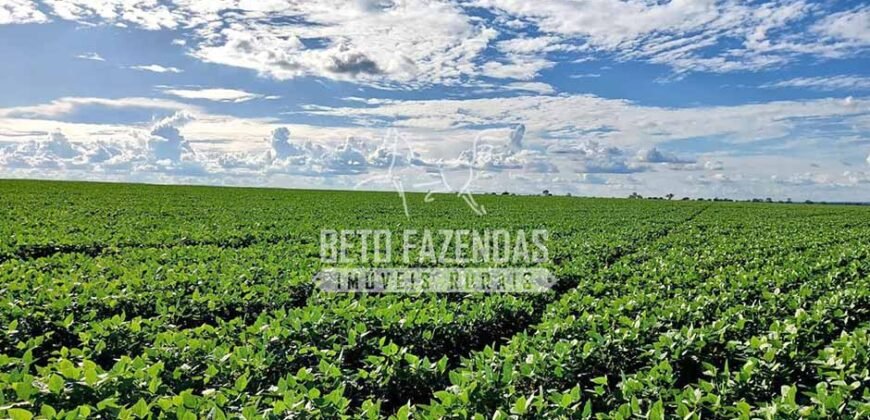 Fazenda à Venda 1.664,65 has Agrícola Extensa | Montes Claros de Goiás/GO Fazenda à Venda 1.664,65 has Agrícola Extensa | Montes Claros de Goiás/GO