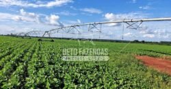Fazenda à Venda 1.664,65 has Agrícola Extensa | Montes Claros de Goiás/GO Fazenda à Venda 1.664,65 has Agrícola Extensa | Montes Claros de Goiás/GO