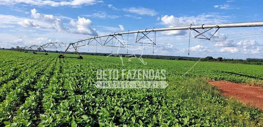 Fazenda à Venda 1.664,65 has Agrícola Extensa | Montes Claros de Goiás/GO Fazenda à Venda 1.664,65 has Agrícola Extensa | Montes Claros de Goiás/GO