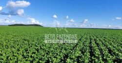 Fazenda à Venda 1.664,65 has Agrícola Extensa | Montes Claros de Goiás/GO Fazenda à Venda 1.664,65 has Agrícola Extensa | Montes Claros de Goiás/GO