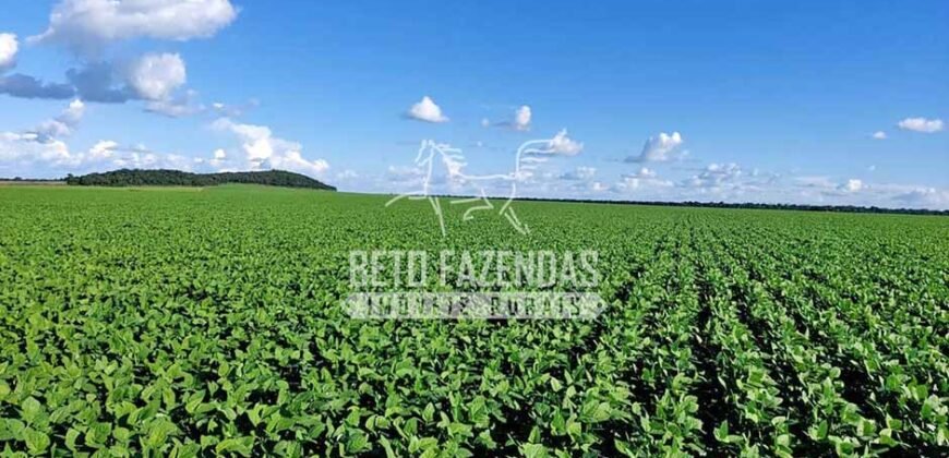 Fazenda à Venda 1.664,65 has Agrícola Extensa | Montes Claros de Goiás/GO Fazenda à Venda 1.664,65 has Agrícola Extensa | Montes Claros de Goiás/GO