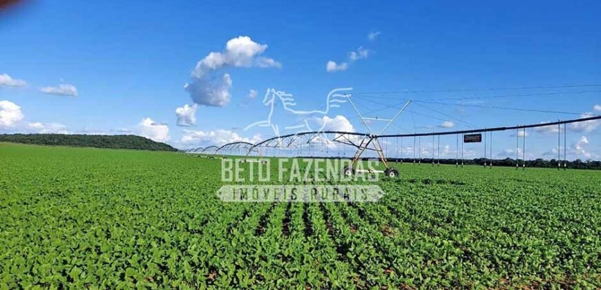 Fazenda à Venda 1.664,65 has Agrícola Extensa | Montes Claros de Goiás/GO Fazenda à Venda 1.664,65 has Agrícola Extensa | Montes Claros de Goiás/GO
