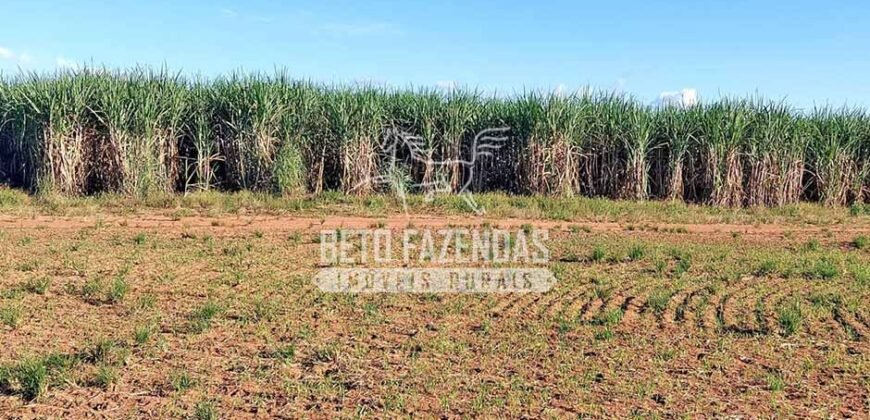 Fazenda à Venda 1.664,65 has Agrícola Extensa | Montes Claros de Goiás/GO Fazenda à Venda 1.664,65 has Agrícola Extensa | Montes Claros de Goiás/GO