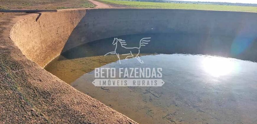 Fazenda à Venda 1.664,65 has Agrícola Extensa | Montes Claros de Goiás/GO Fazenda à Venda 1.664,65 has Agrícola Extensa | Montes Claros de Goiás/GO