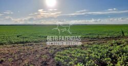 Fazenda à Venda 1.664,65 has Agrícola Extensa | Montes Claros de Goiás/GO Fazenda à Venda 1.664,65 has Agrícola Extensa | Montes Claros de Goiás/GO