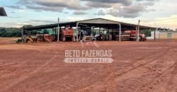 Fazenda à Venda 1.664,65 has Agrícola Extensa | Montes Claros de Goiás/GO Fazenda à Venda 1.664,65 has Agrícola Extensa | Montes Claros de Goiás/GO
