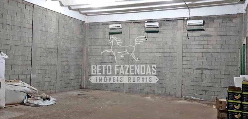 Fazenda à Venda 1.664,65 has Agrícola Extensa | Montes Claros de Goiás/GO Fazenda à Venda 1.664,65 has Agrícola Extensa | Montes Claros de Goiás/GO