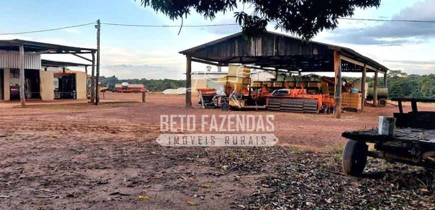 Fazenda à Venda 1.664,65 has Agrícola Extensa | Montes Claros de Goiás/GO Fazenda à Venda 1.664,65 has Agrícola Extensa | Montes Claros de Goiás/GO