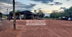 Fazenda à Venda 1.664,65 has Agrícola Extensa | Montes Claros de Goiás/GO Fazenda à Venda 1.664,65 has Agrícola Extensa | Montes Claros de Goiás/GO