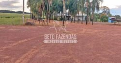 Fazenda à Venda 1.664,65 has Agrícola Extensa | Montes Claros de Goiás/GO Fazenda à Venda 1.664,65 has Agrícola Extensa | Montes Claros de Goiás/GO