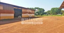 Fazenda Gigante 57.000 Has Altamente Produtiva | Santana do Araguaia/PA