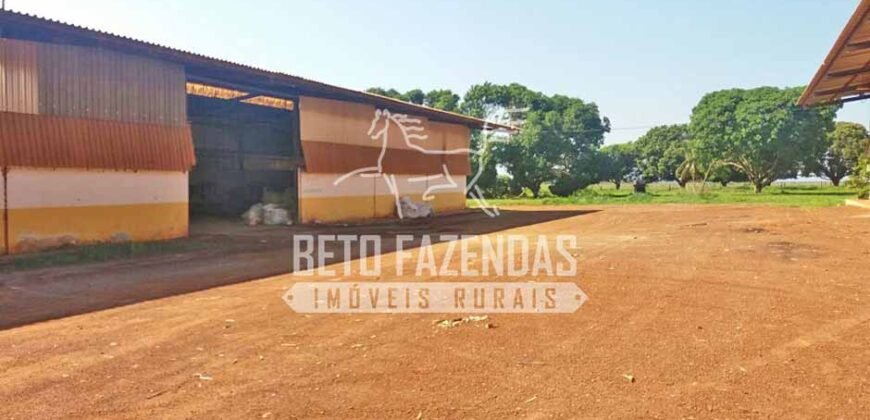 Fazenda Gigante 57.000 Has Altamente Produtiva | Santana do Araguaia/PA