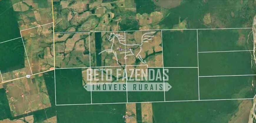 Fazenda Gigante 57.000 Has Altamente Produtiva | Santana do Araguaia/PA