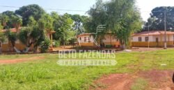 Fazenda Gigante 57.000 Has Altamente Produtiva | Santana do Araguaia/PA