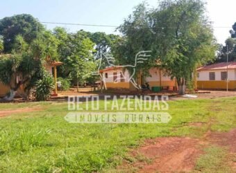 Fazenda Gigante 57.000 Has Altamente Produtiva | Santana do Araguaia/PA Fazenda Gigante 57.000 Has Altamente Produtiva | Santana do Araguaia/PA