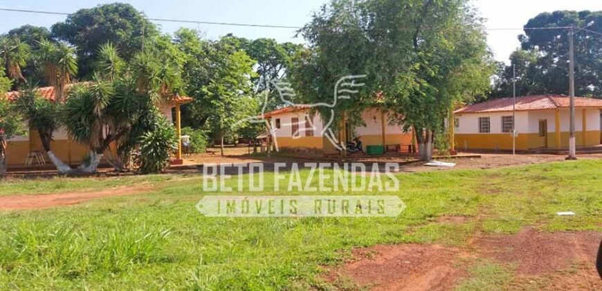 Fazenda Gigante 57.000 Has Altamente Produtiva | Santana do Araguaia/PA