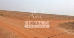 Fazenda Gigante 57.000 Has Altamente Produtiva | Santana do Araguaia/PA