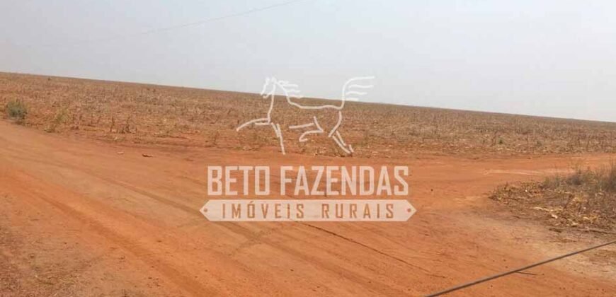 Fazenda Gigante 57.000 Has Altamente Produtiva | Santana do Araguaia/PA