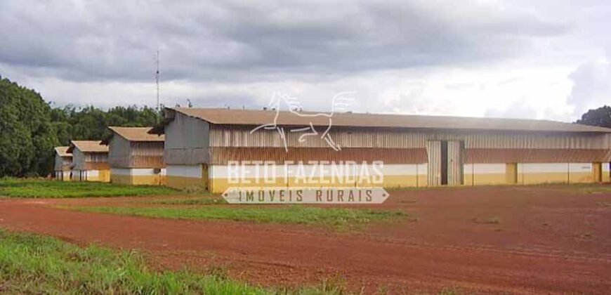 Fazenda Gigante 57.000 Has Altamente Produtiva | Santana do Araguaia/PA