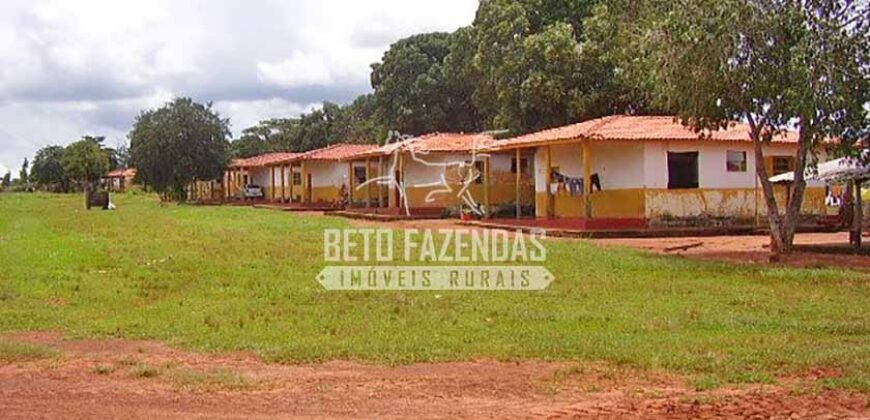 Fazenda Gigante 57.000 Has Altamente Produtiva | Santana do Araguaia/PA