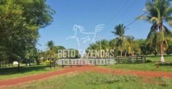 Fazenda Gigante 57.000 Has Altamente Produtiva | Santana do Araguaia/PA