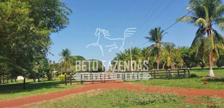 Fazenda Gigante 57.000 Has Altamente Produtiva | Santana do Araguaia/PA