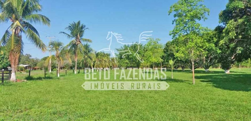 Fazenda Gigante 57.000 Has Altamente Produtiva | Santana do Araguaia/PA