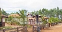 Fazenda Gigante à Venda 89.000 hectares | Porto Alegre do Norte/ MT